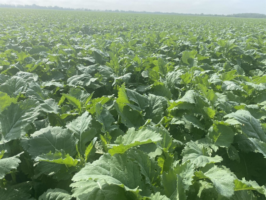 Canadian Farm News & Agriculture Real Estate Farms, Ranches, Land For