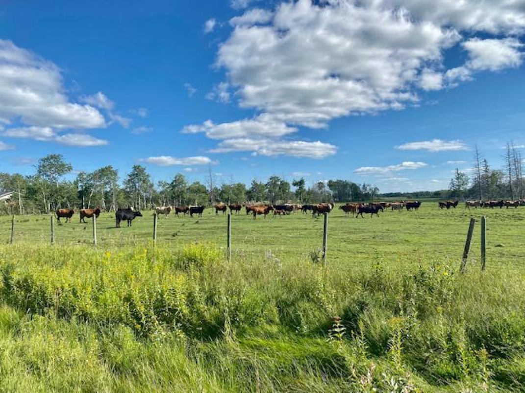 Canadian Farm News & Agriculture Real Estate Farms, Ranches, Land For