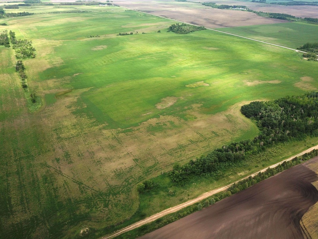 Canadian Farm News & Agriculture Real Estate Farms, Ranches, Land For