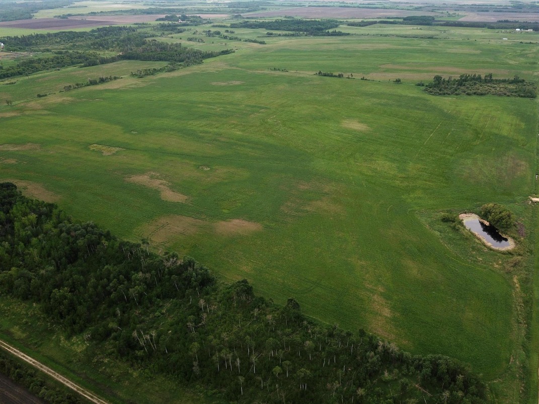 Canadian Farm News & Agriculture Real Estate Farms, Ranches, Land For