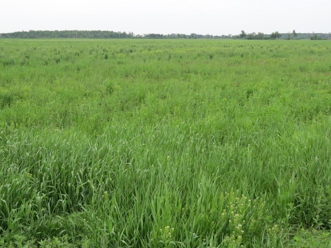 Canadian Farm News & Agriculture Real Estate Farms, Ranches, Land For