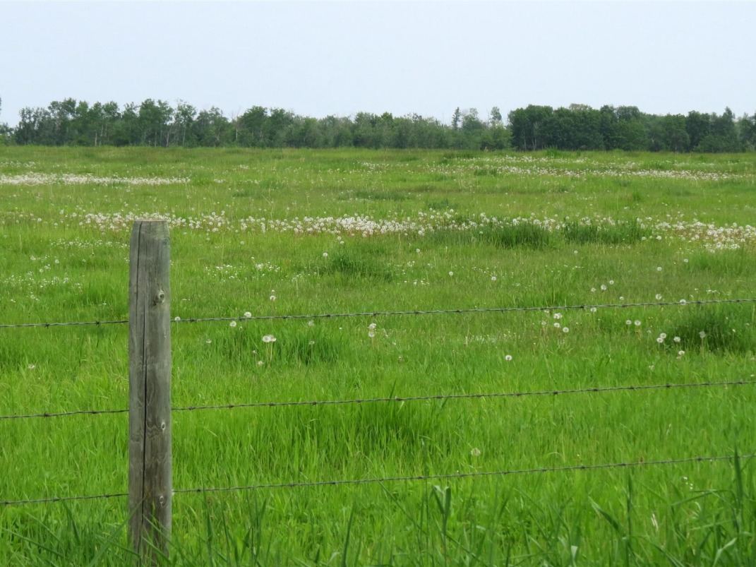 Canadian Farm News & Agriculture Real Estate Farms, Ranches, Land For