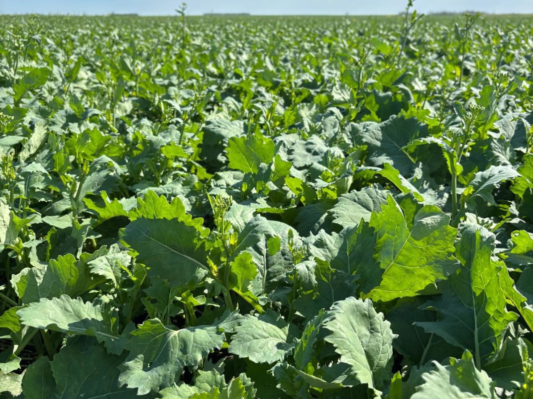 Canadian Farm News & Agriculture Real Estate - Farms, Ranches, Land For ...