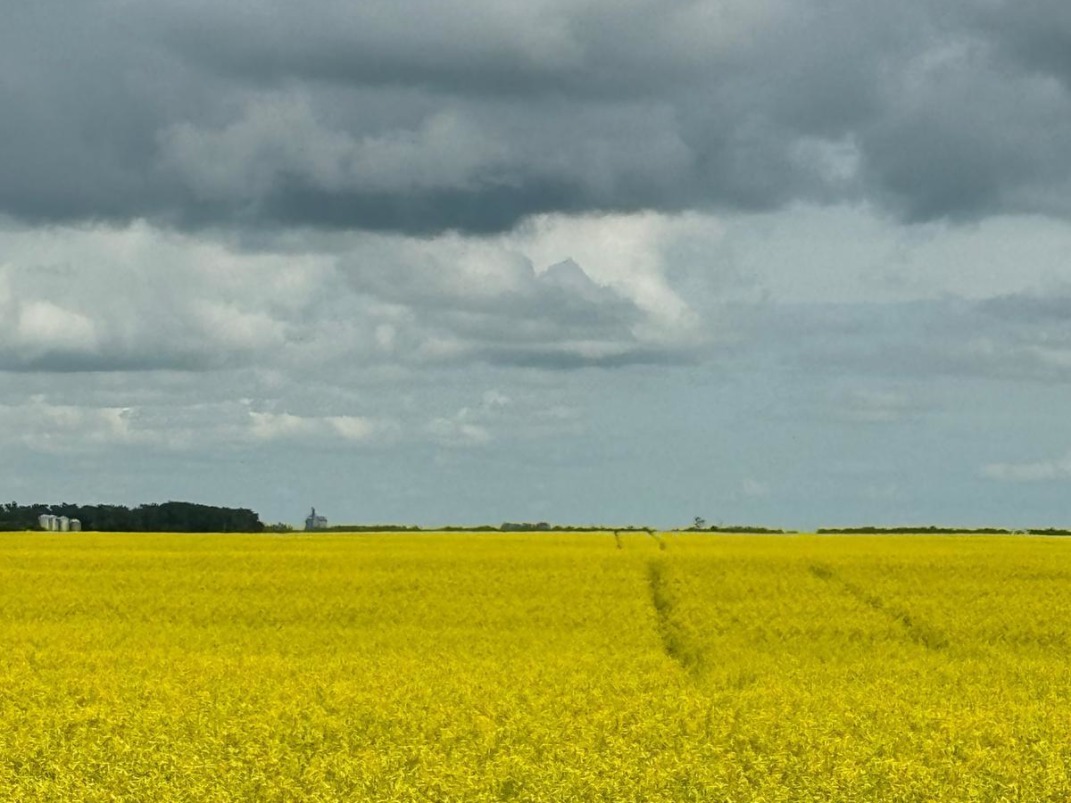 Canadian Farm News & Agriculture Real Estate - Farms, Ranches, Land For ...
