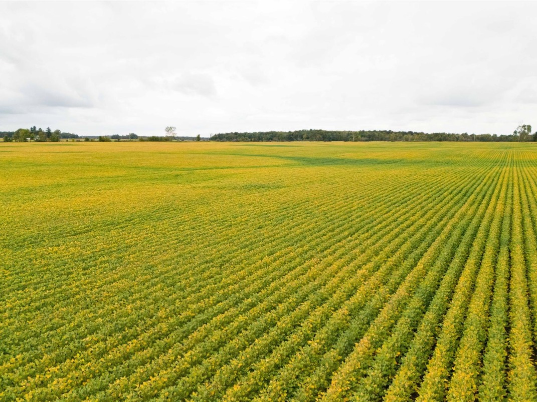 Canadian Farm News & Agriculture Real Estate Farms, Ranches, Land For