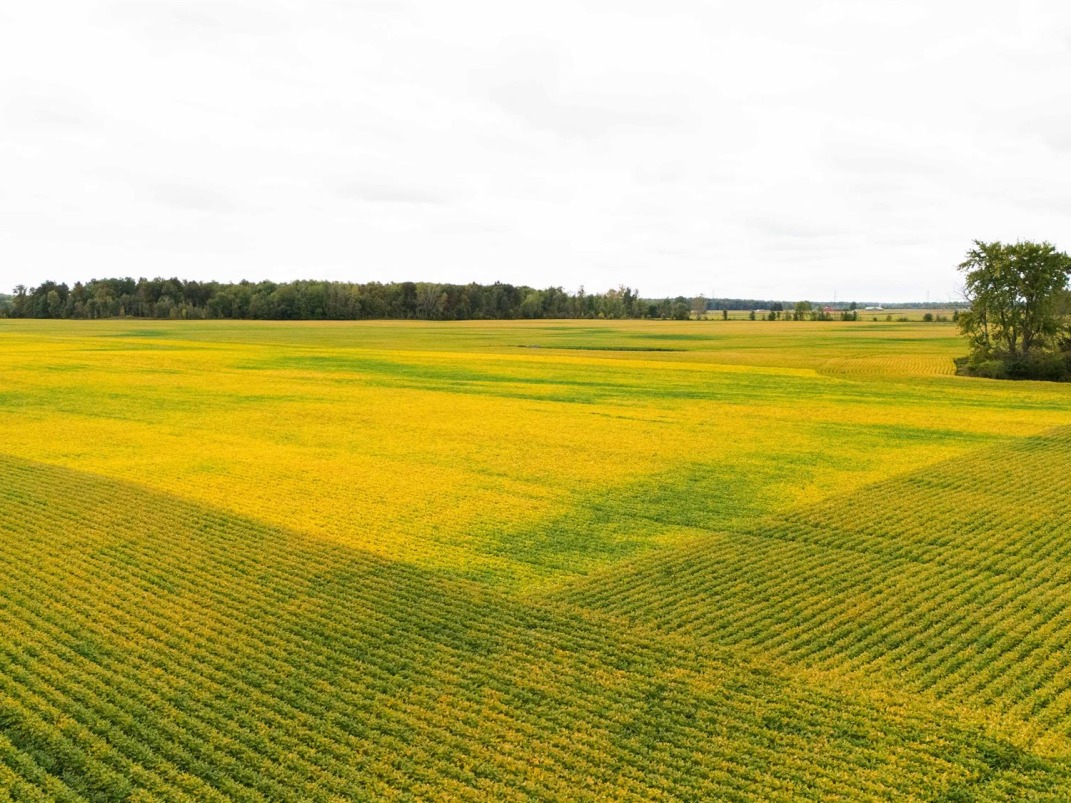 Canadian Farm News & Agriculture Real Estate Farms, Ranches, Land For