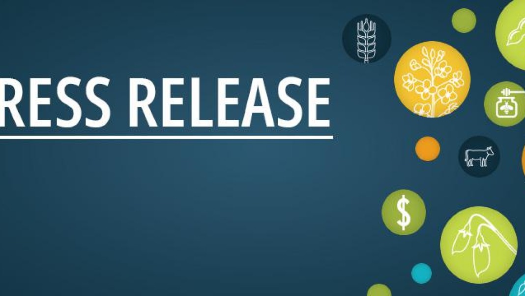 cash advance credit limit
