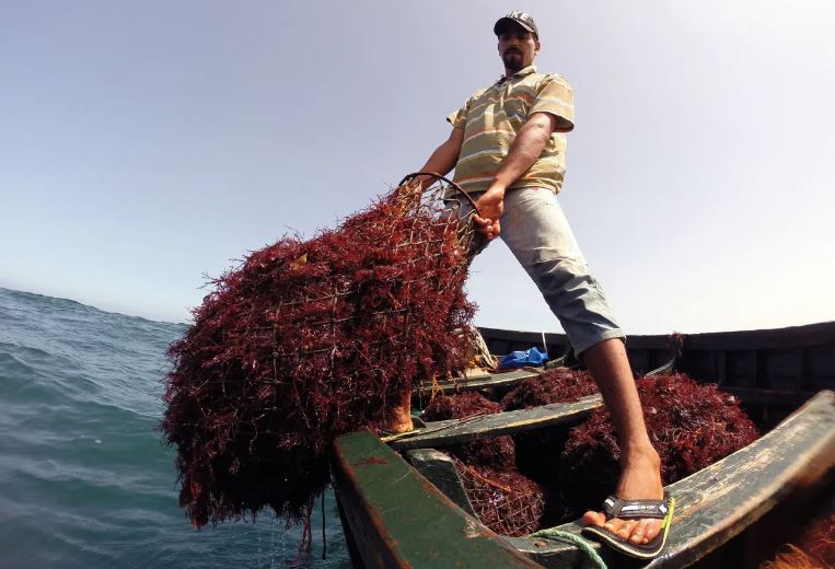 Canadian Farm News & Agriculture Real Estate Farms, Ranches, Land For